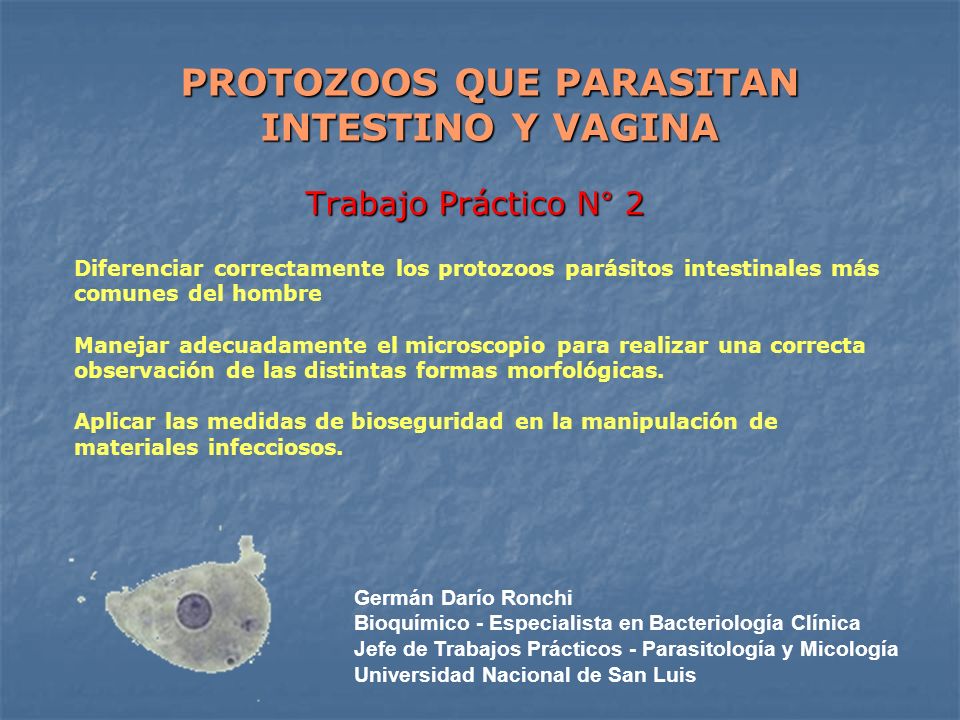 protozoarios intestinales y urogenitales protozoarios intestinales y urogenitales